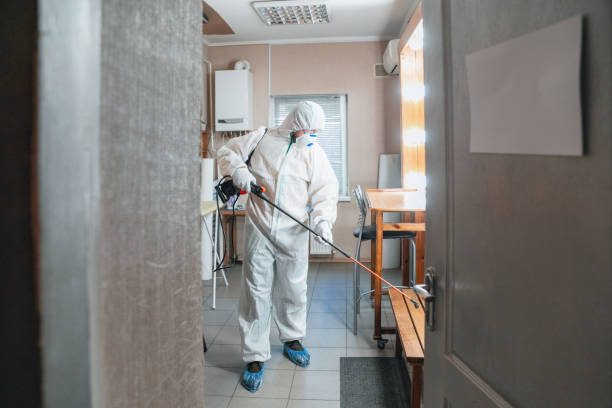 Biohazard Mold Removal in Southmayd, TX